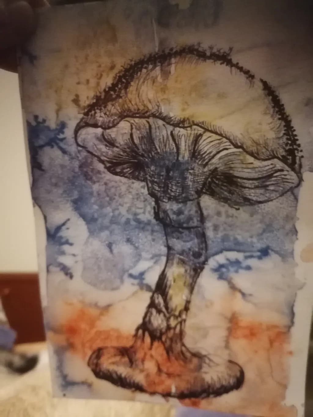 Fungal Echoes