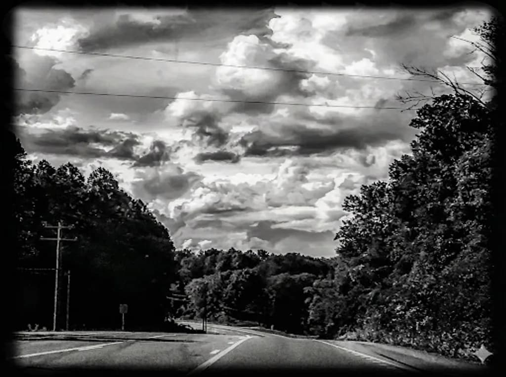 Black and White Forest Road