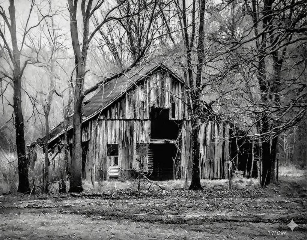 Rustic Barn in Winter Woods