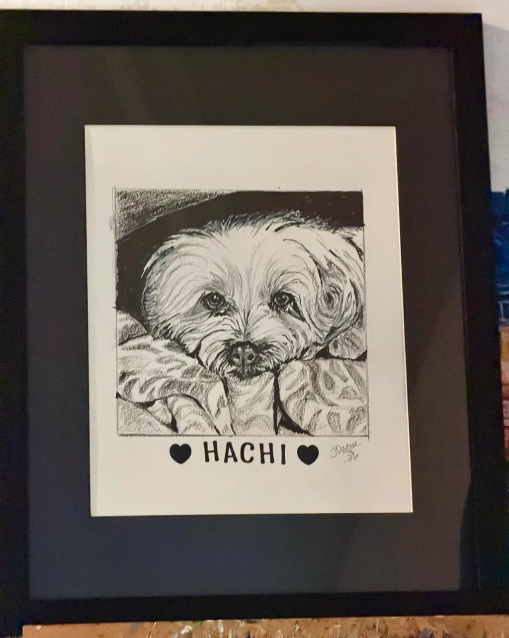 Hachi's Calm Gaze