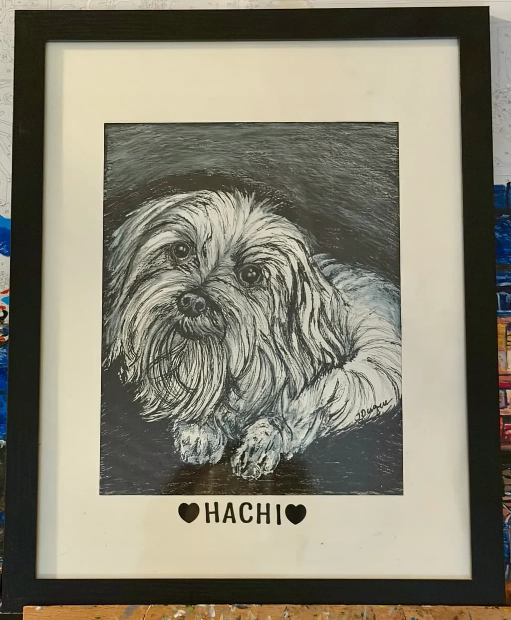 Hachi Portrait