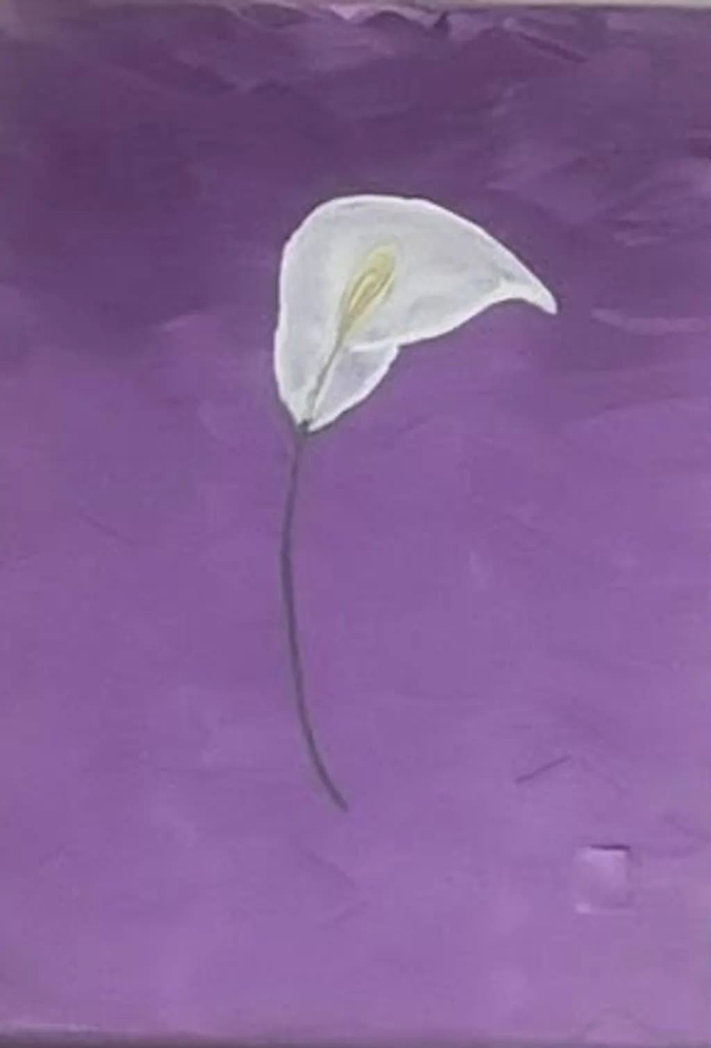 Lovely Bloom