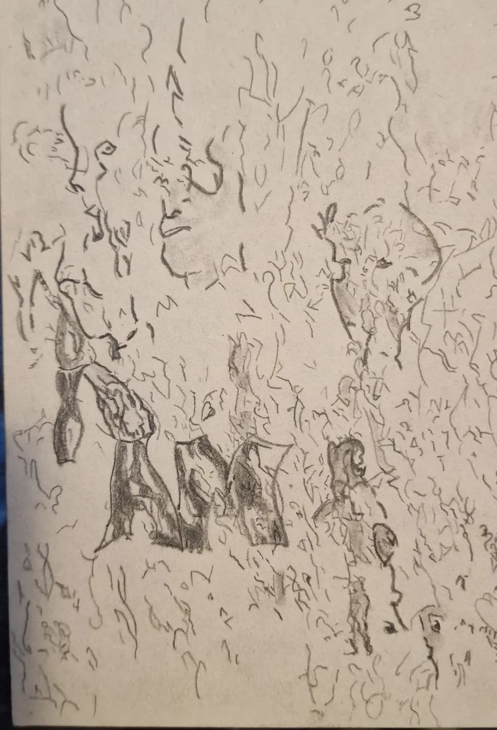 Fragmented Echoes