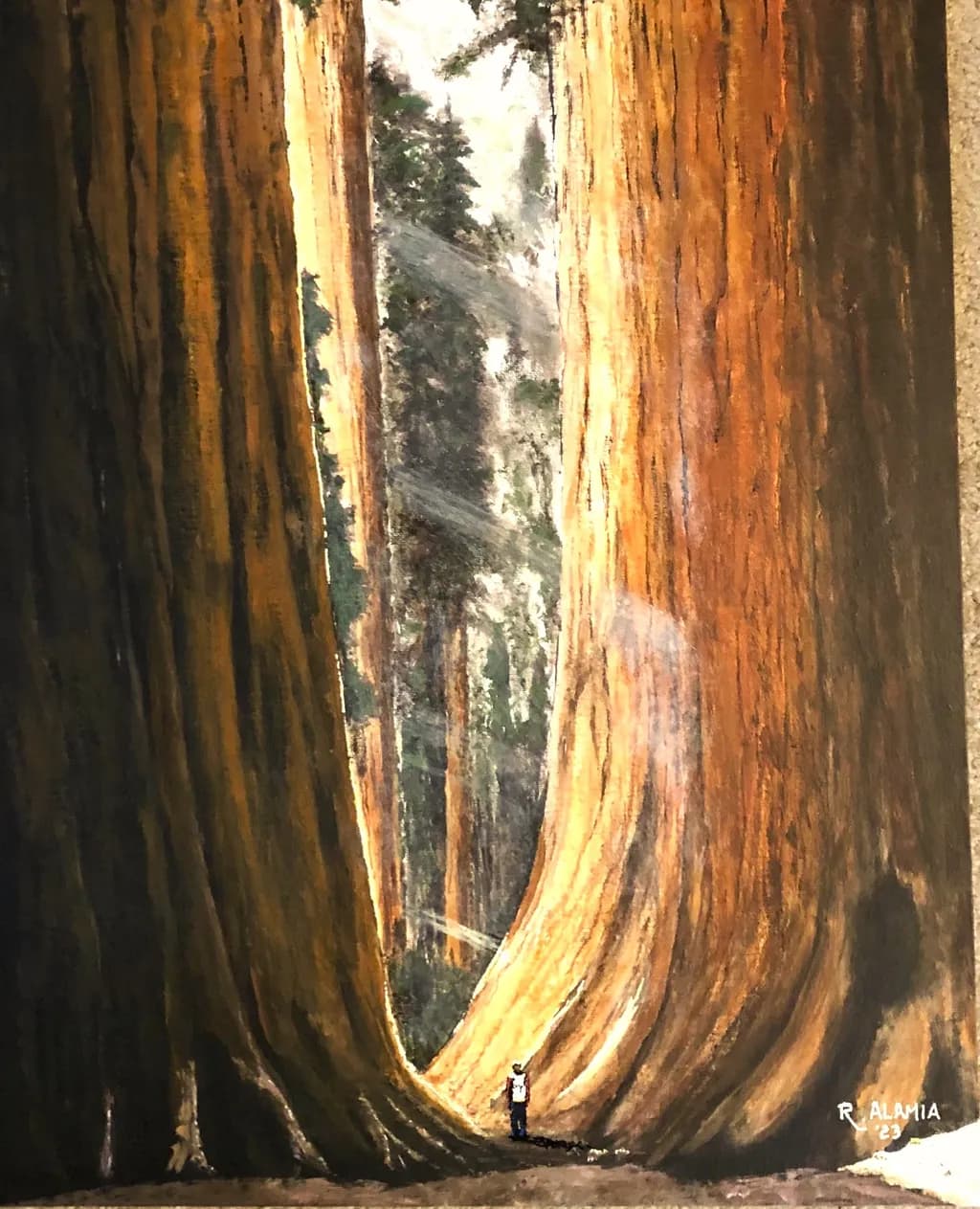 Redwoods Majesty