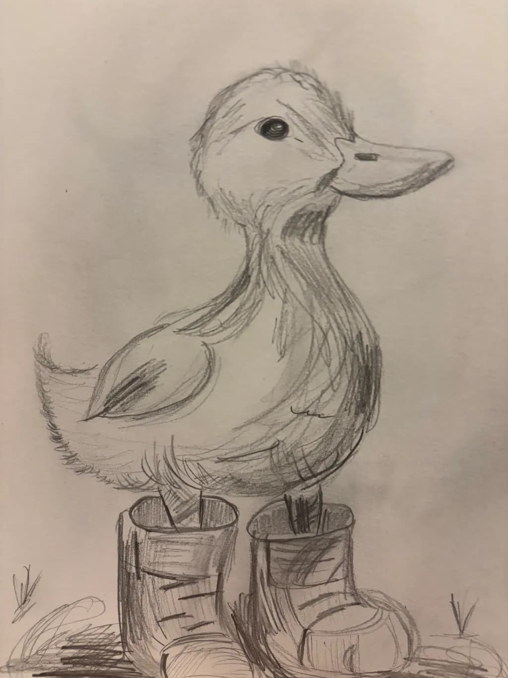 Duck in Boots