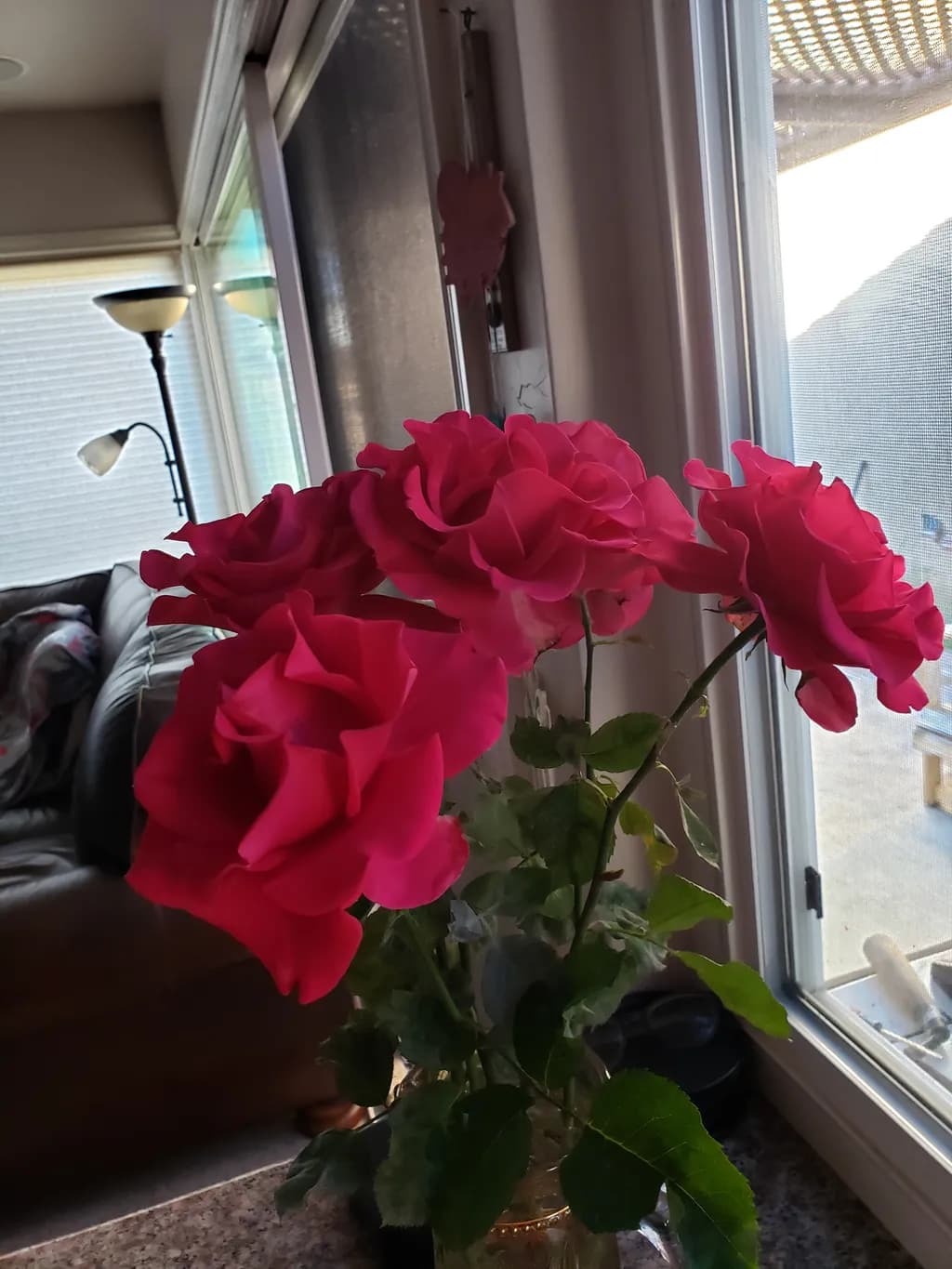 Indoor Red Roses