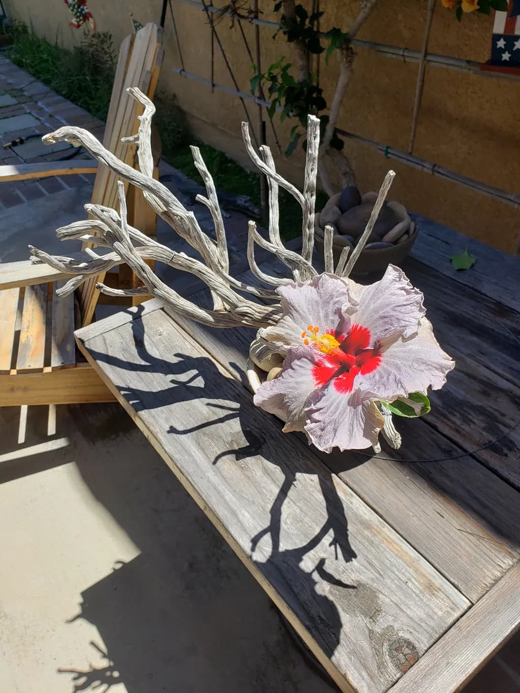 Driftwood Bloom