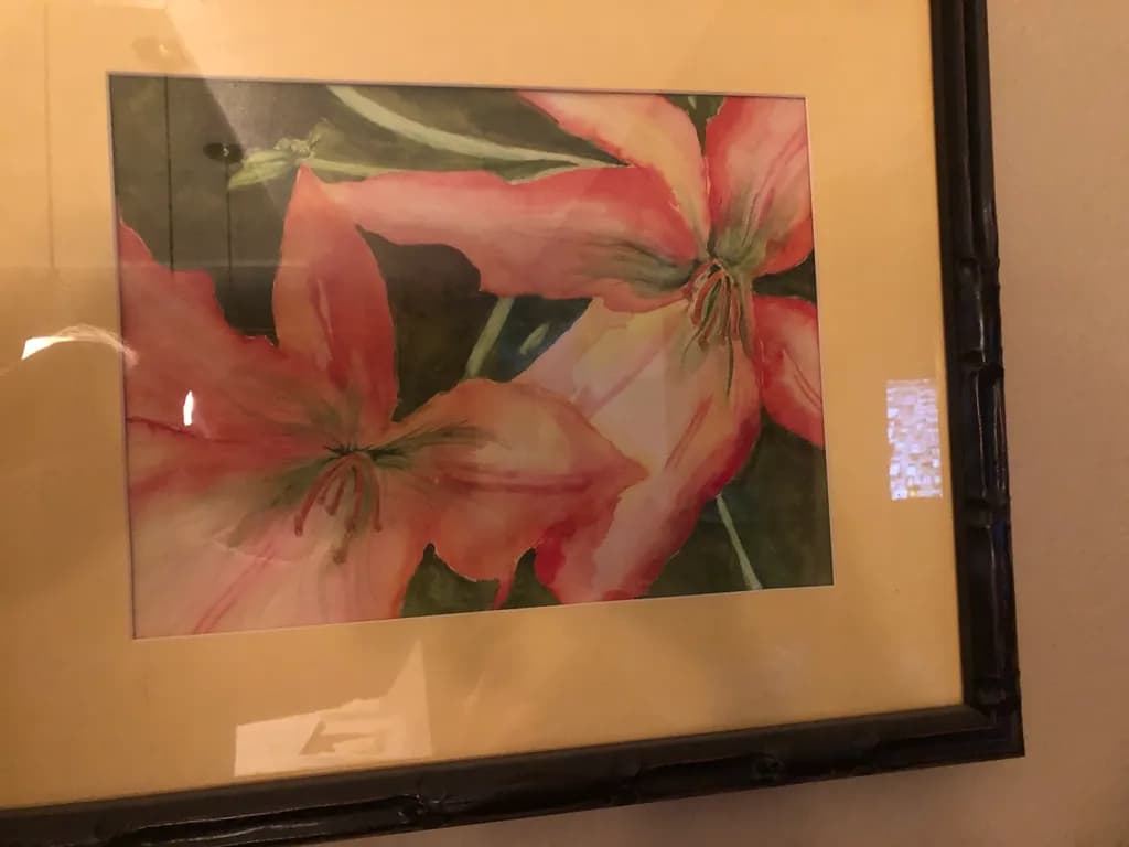 Coral Lilies
