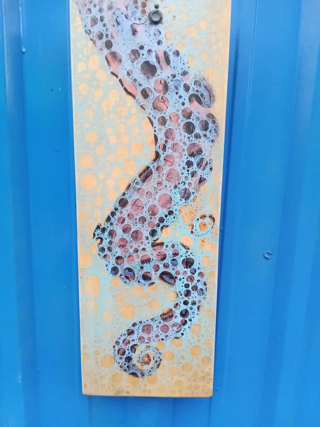 Spotted Seahorse