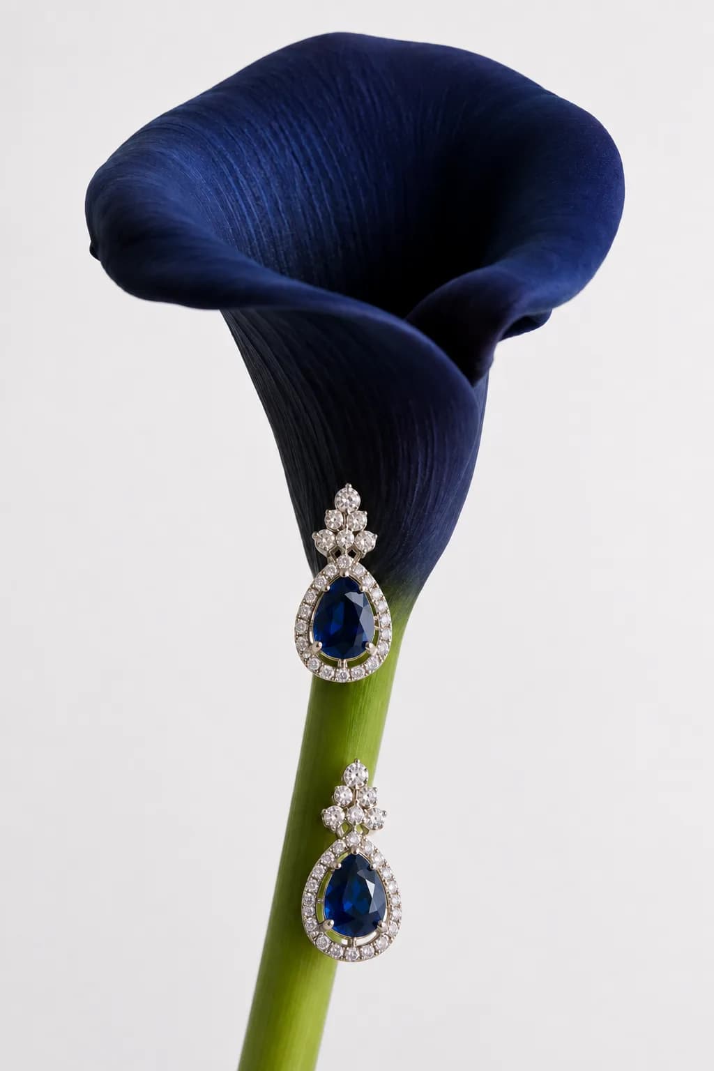 Midnight Elegance Earrings