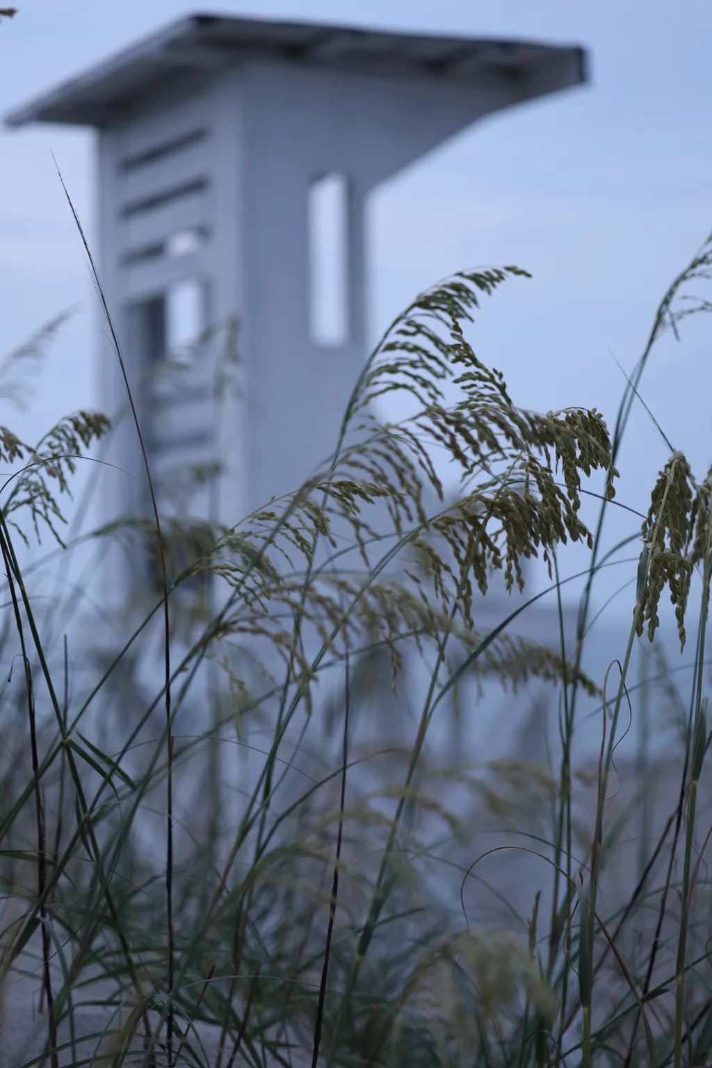 Coastal Sentinel