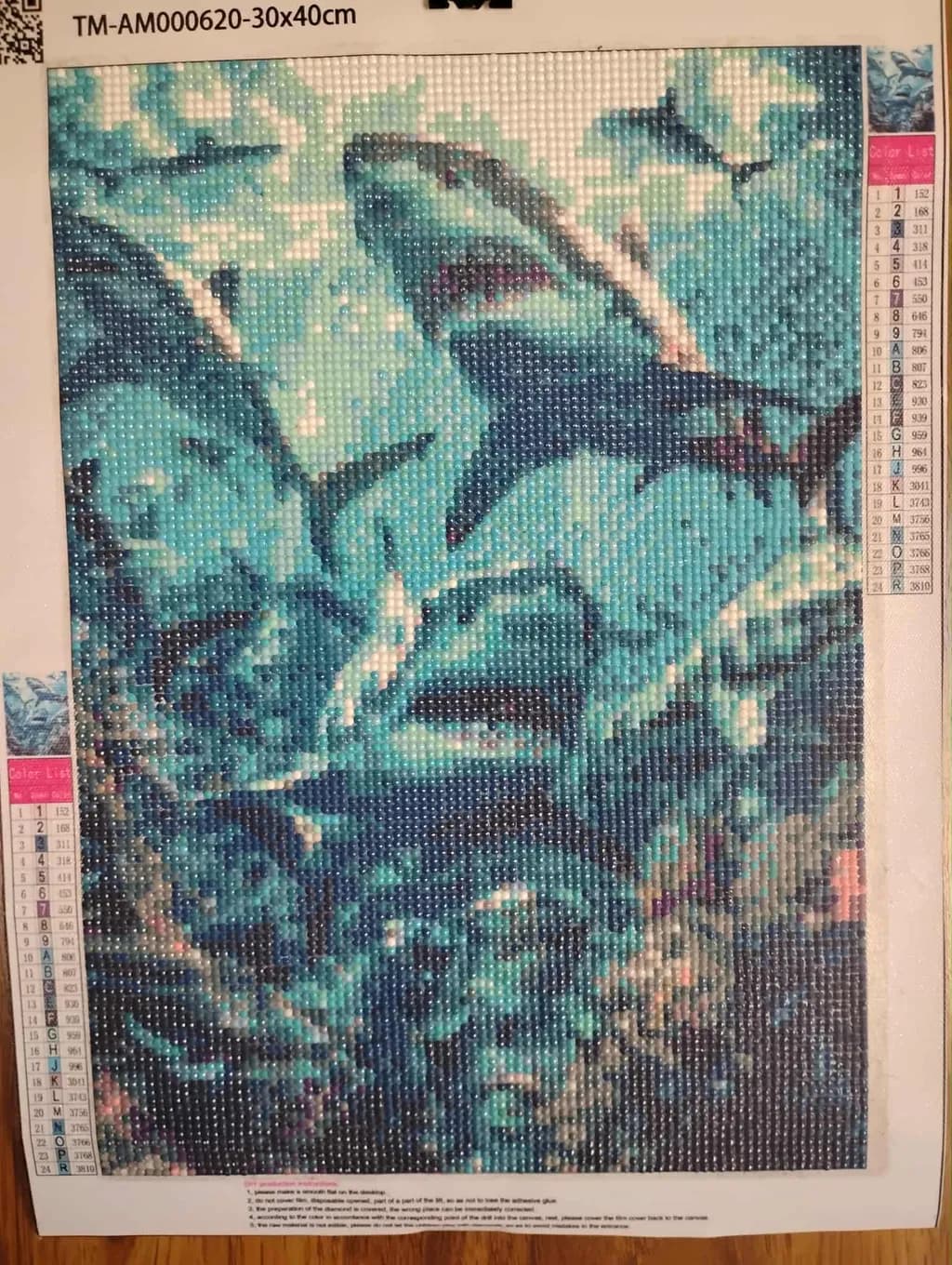 Ocean Predators