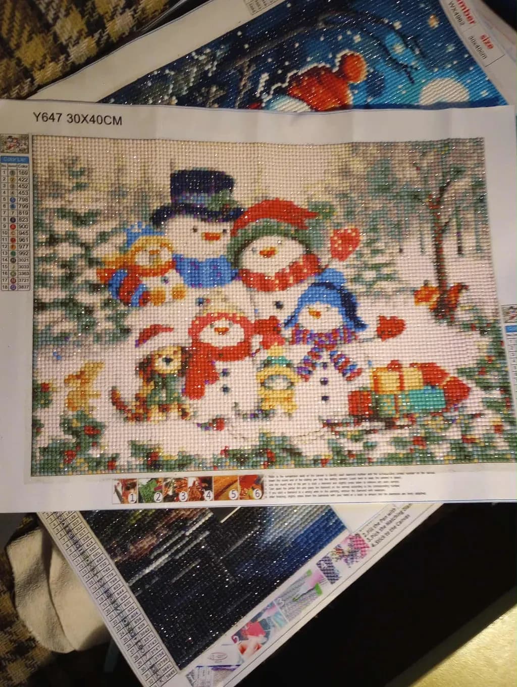 Winter Snow Family