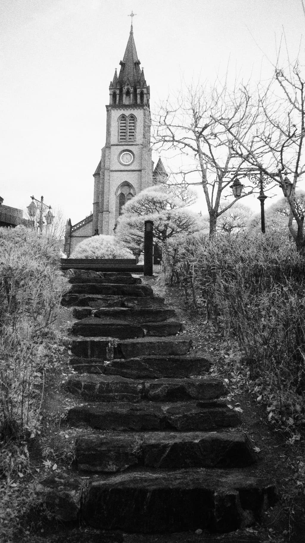 Stone Path to Sanctuary