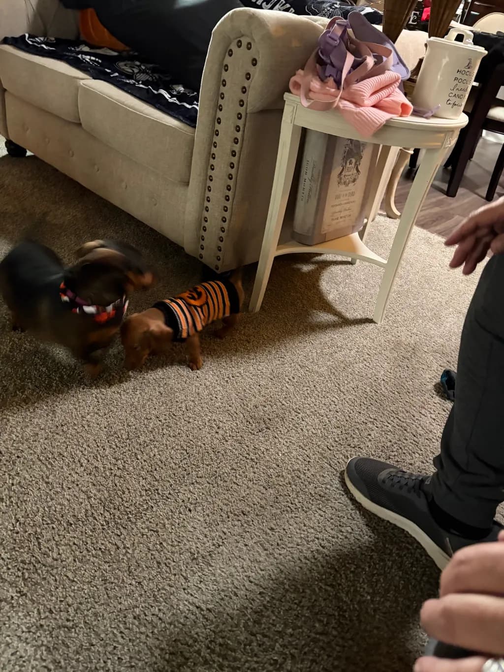 Living Room Playtime