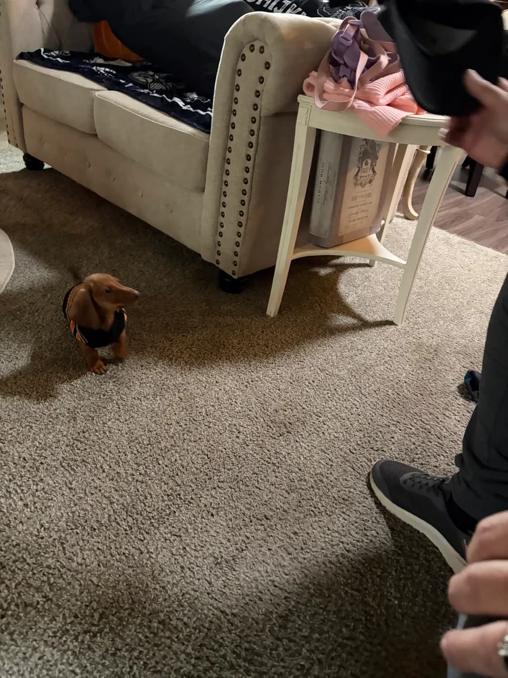 Curious Encounter