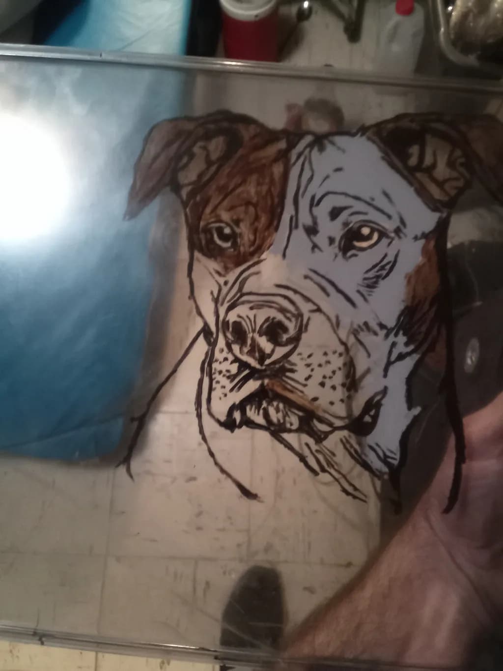 Watchful Pitbull Portrait