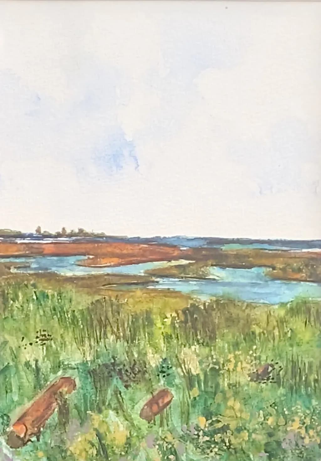 Coastal Marsh Landscape