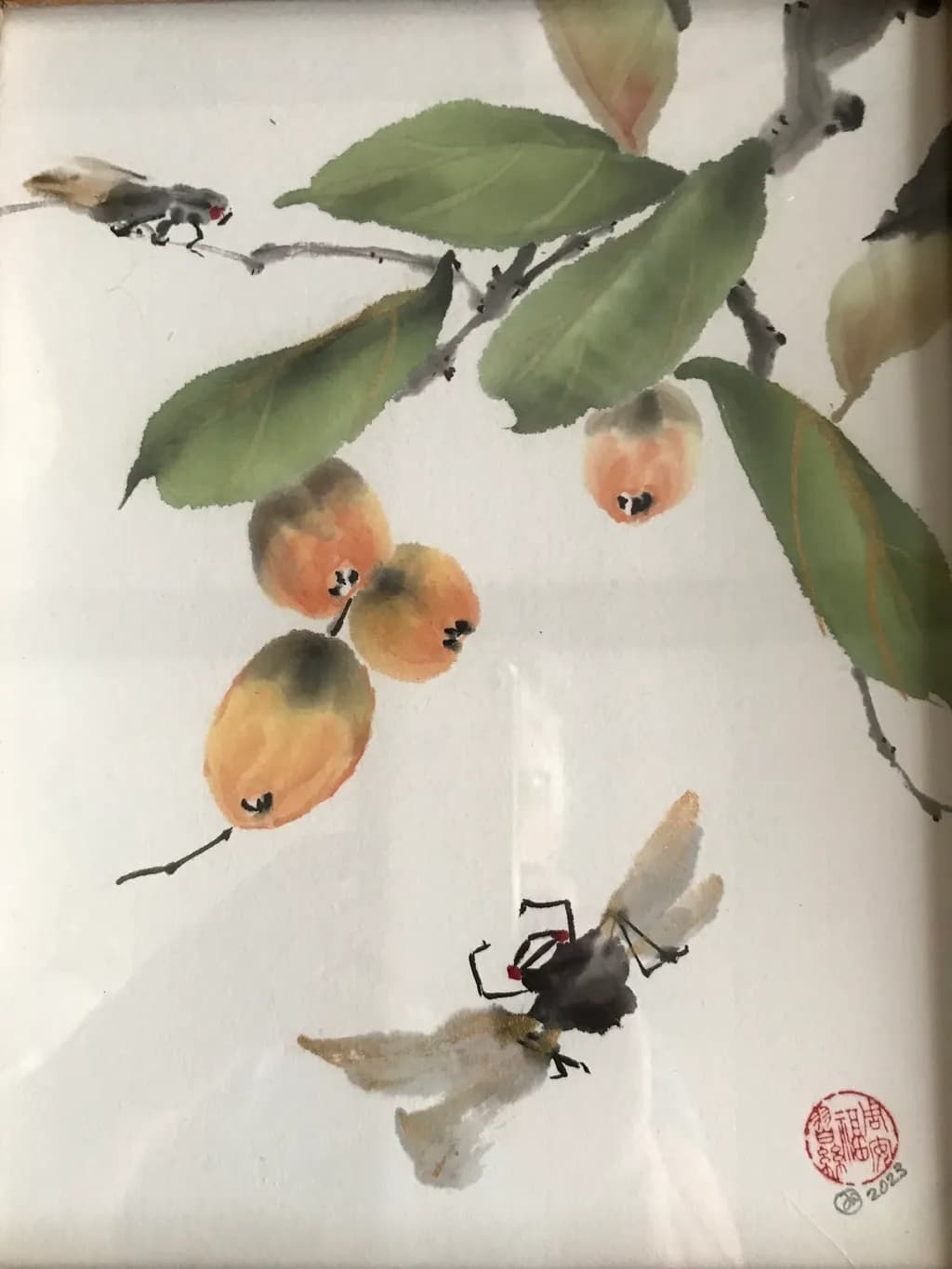 Cicada Loquat Lovers