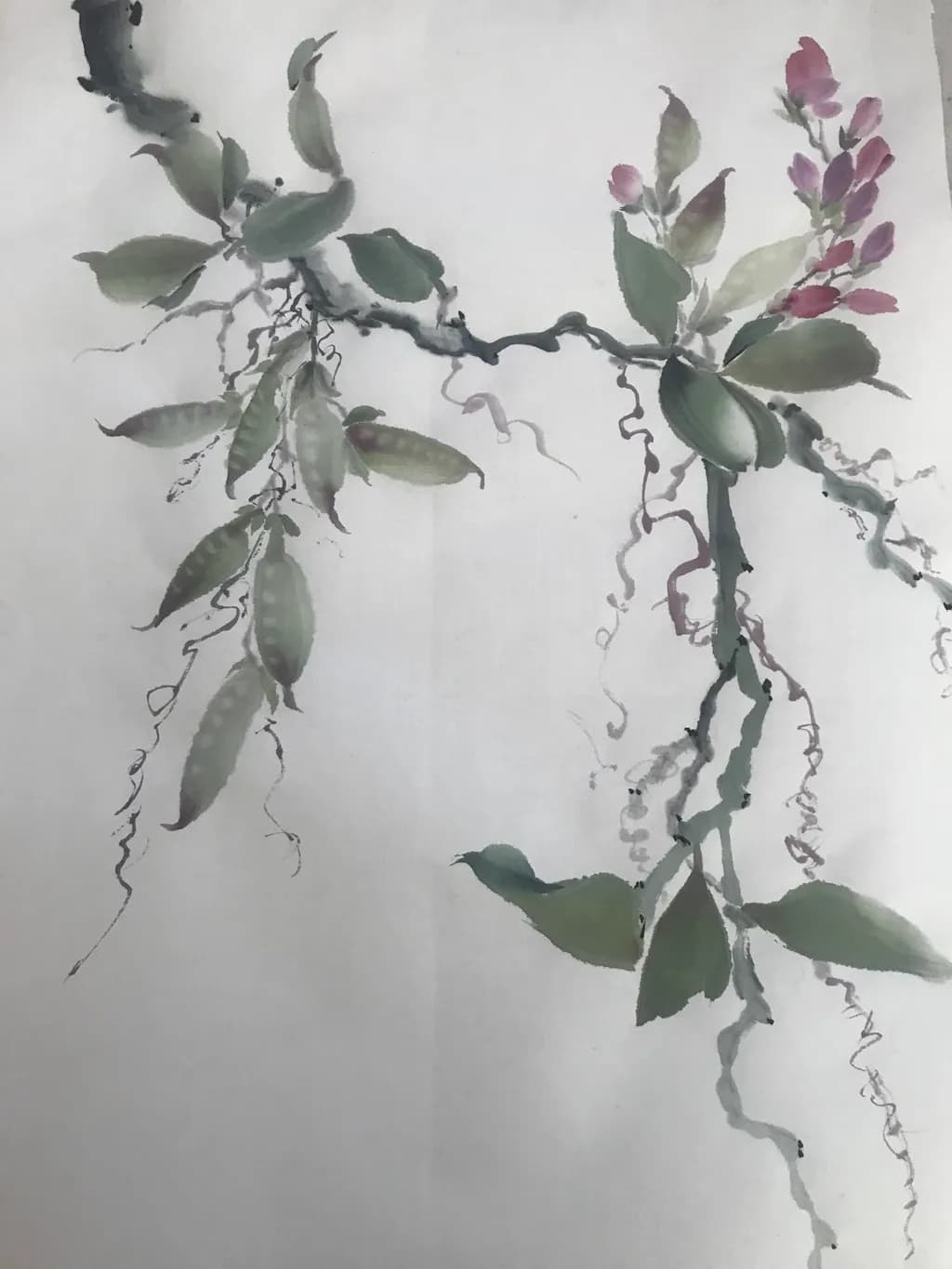 Dangling Sweet Peas