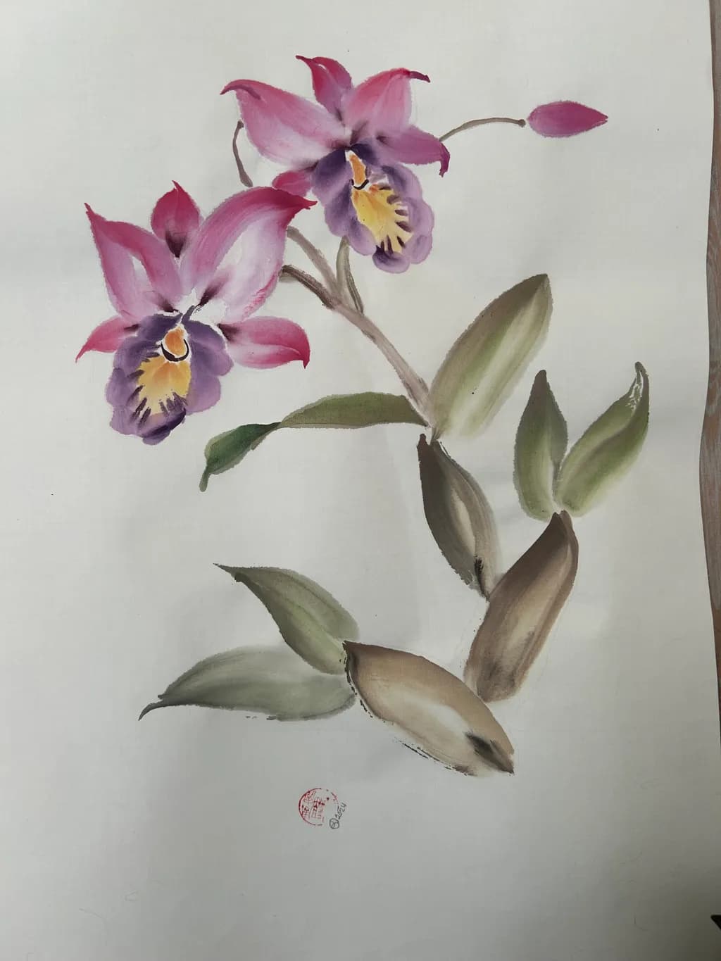 Cattley Orchid