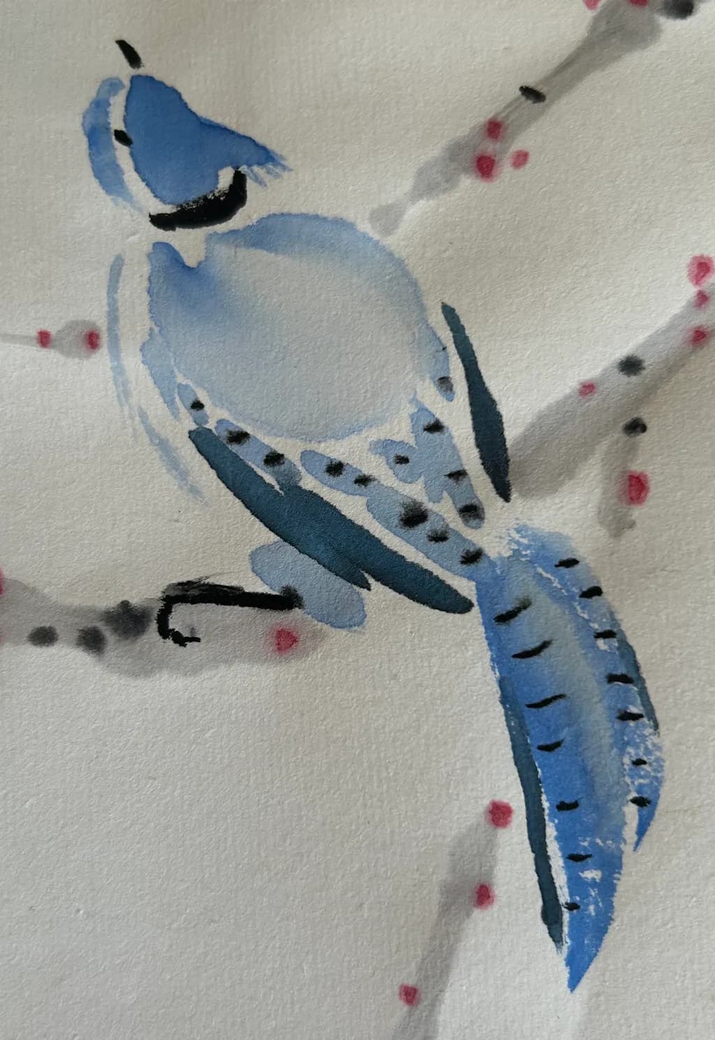 Bluebird on Branch