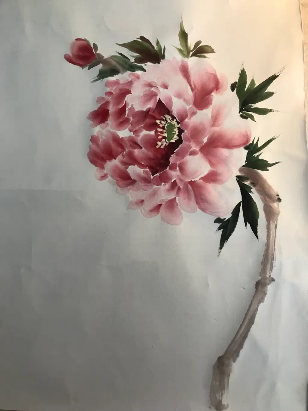 Summer Peony