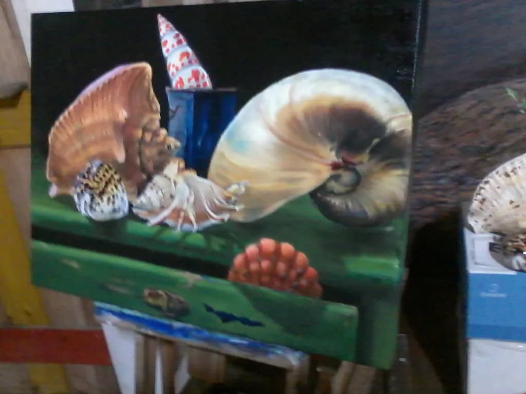 Seashell Symphony
