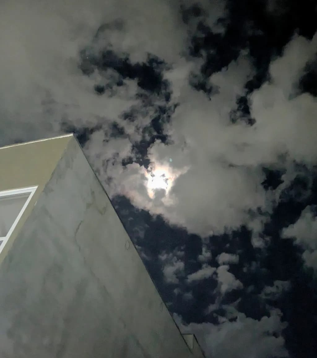 Moonlit Shadow