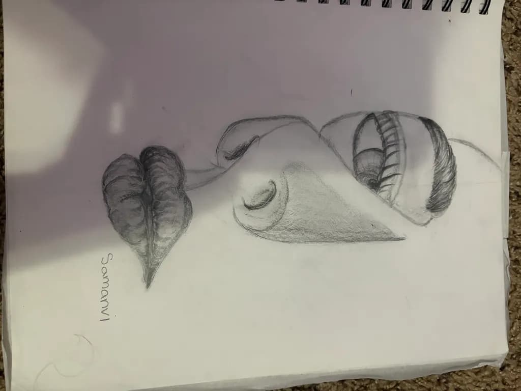 Quiet Contours