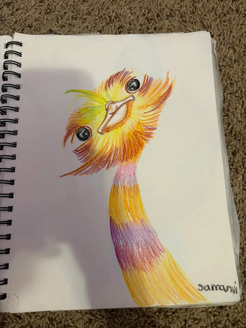 Curious Colors