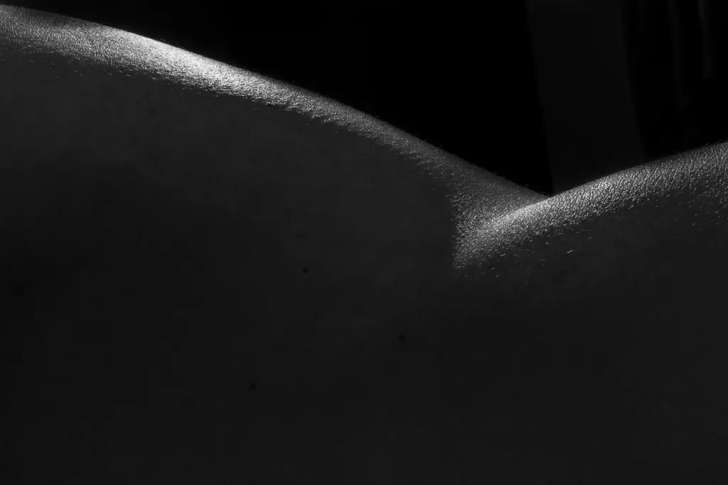 Form in Shadow