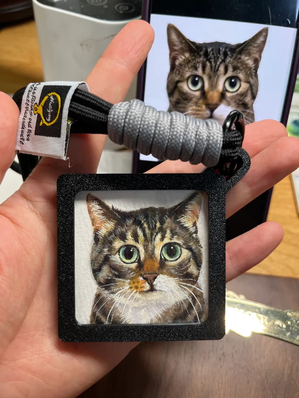 Tabby Gaze