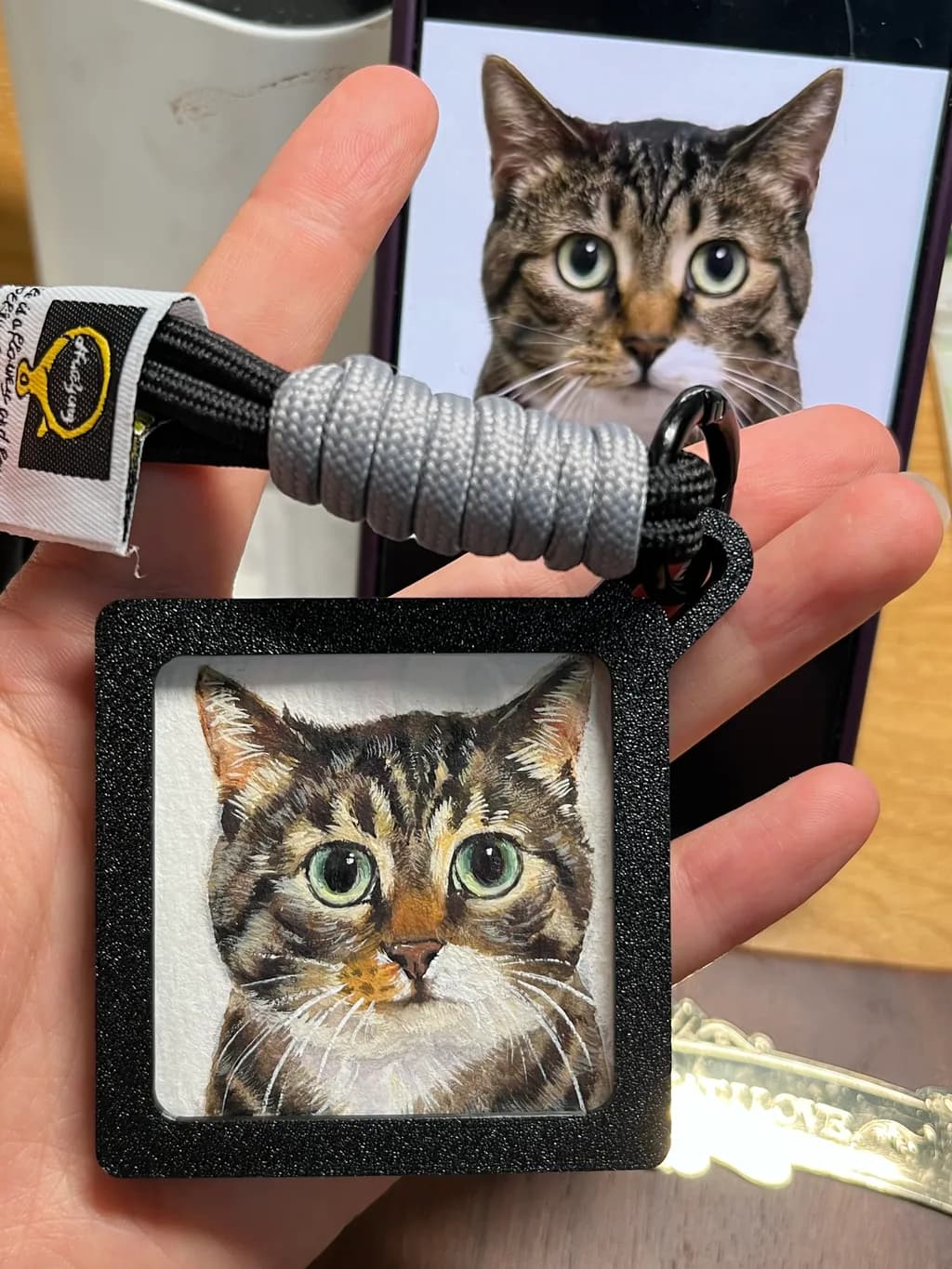 Tabby Gaze