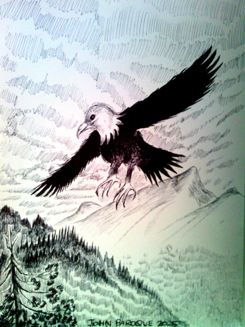 Bald Eagle Flight