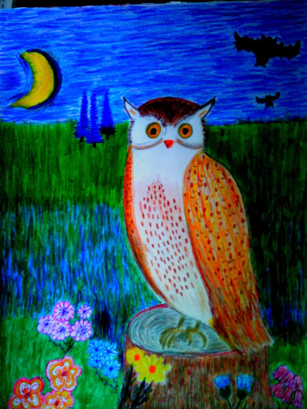 Barn Owl at Dusk