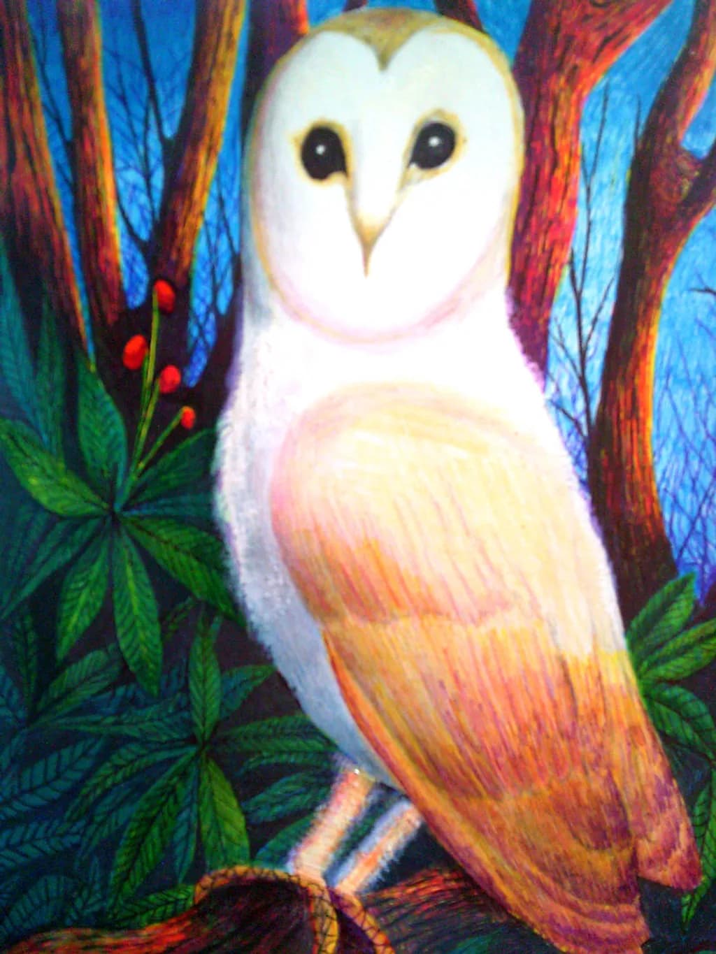 Barn Owl in Blue
