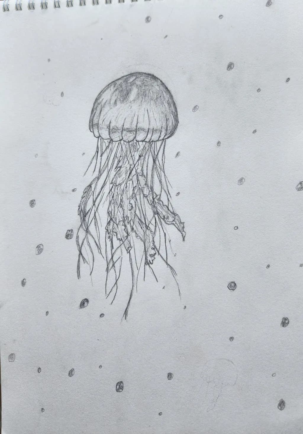 Drifting Jellyfish