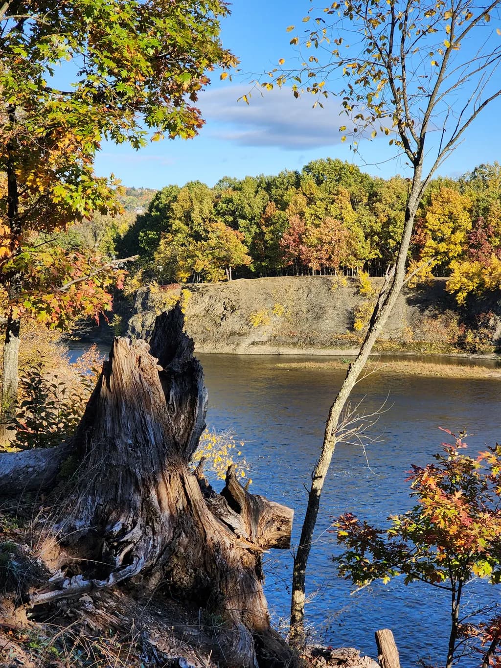 Riverside Autumn