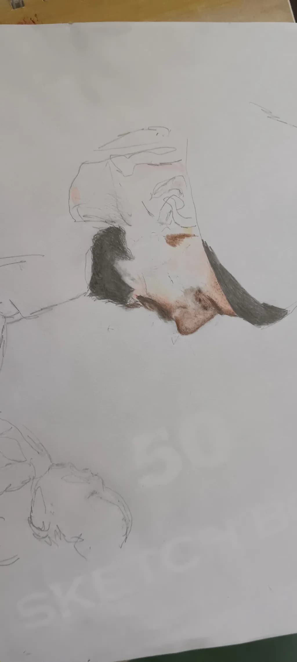 Half-formed Portrait