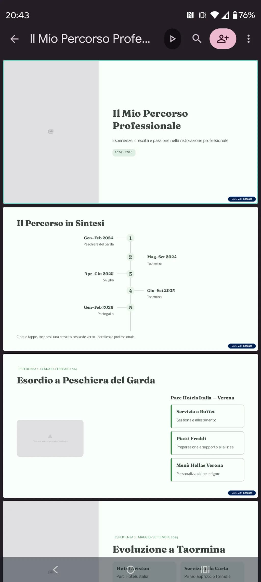 Professional Journey 2024-2026