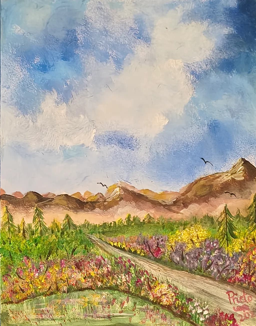 Mountain Meadow Path