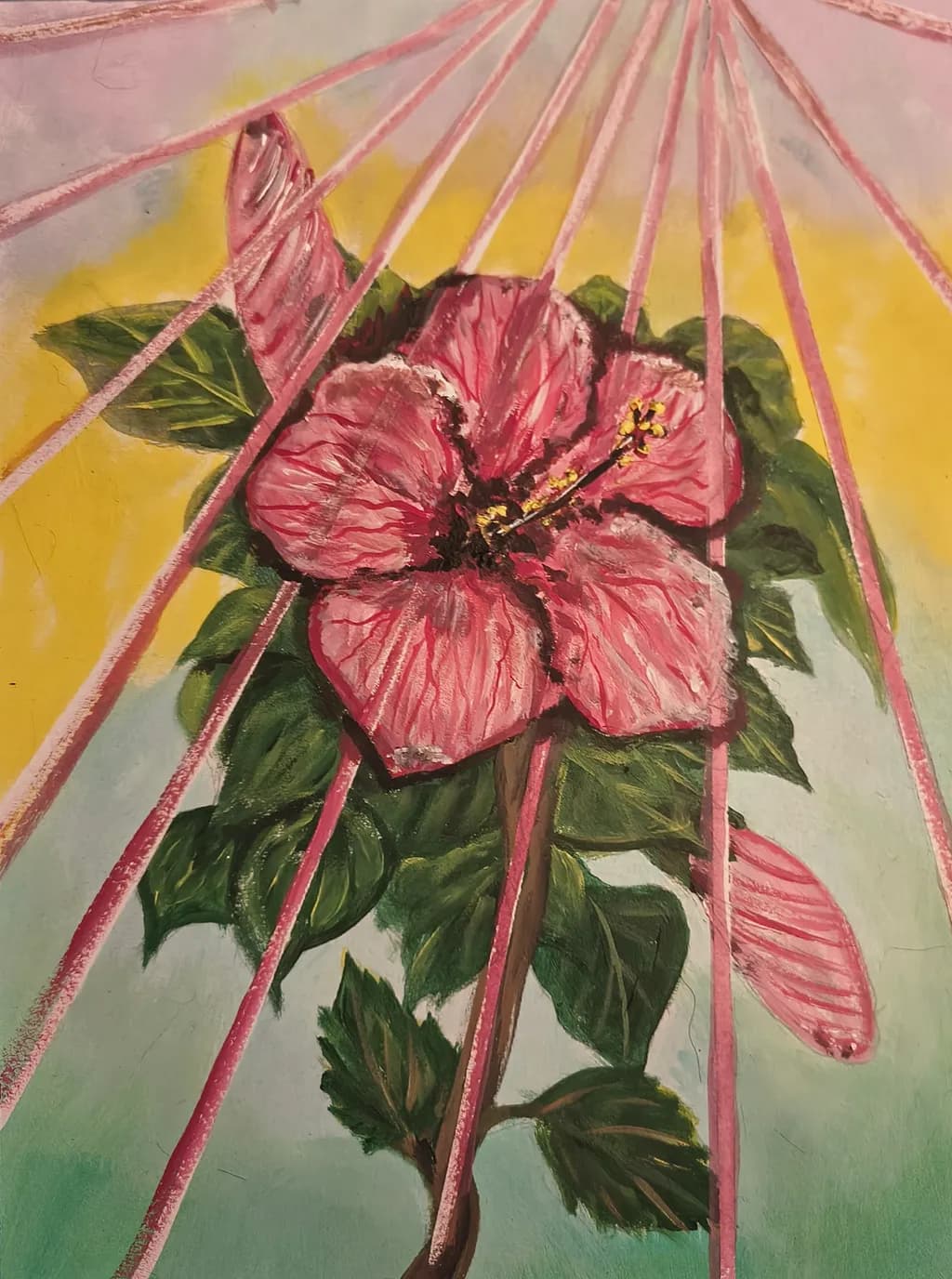 Radiant Hibiscus