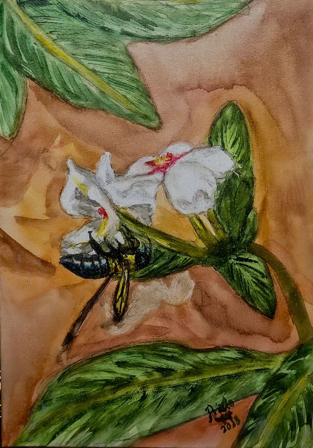 Bee on White Blossom