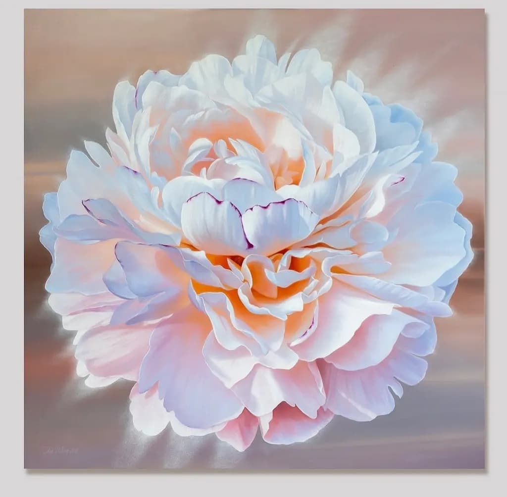 Peony Bloom