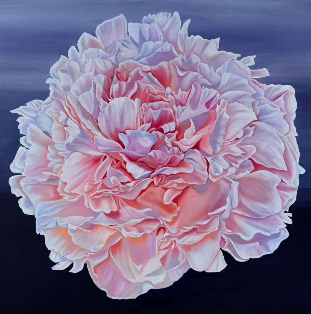 Blushing Peony