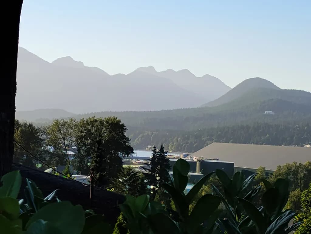 Misty Mountain Overlook