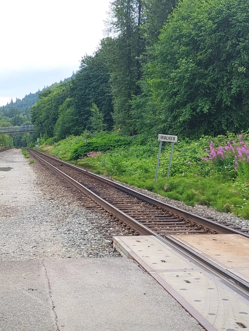Walker Crossing