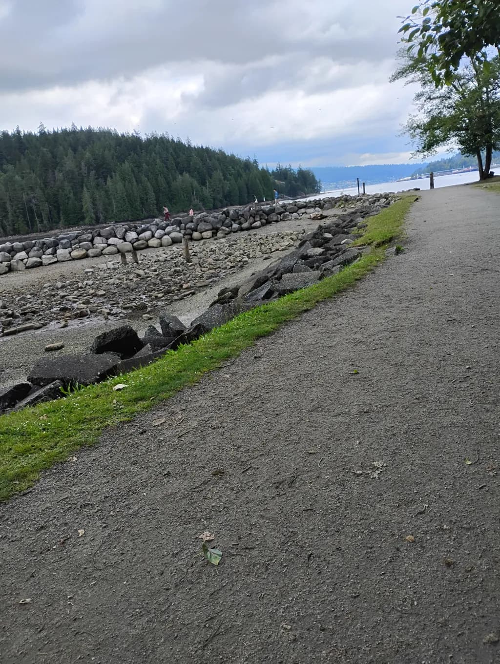 Rocky Shoreline Path