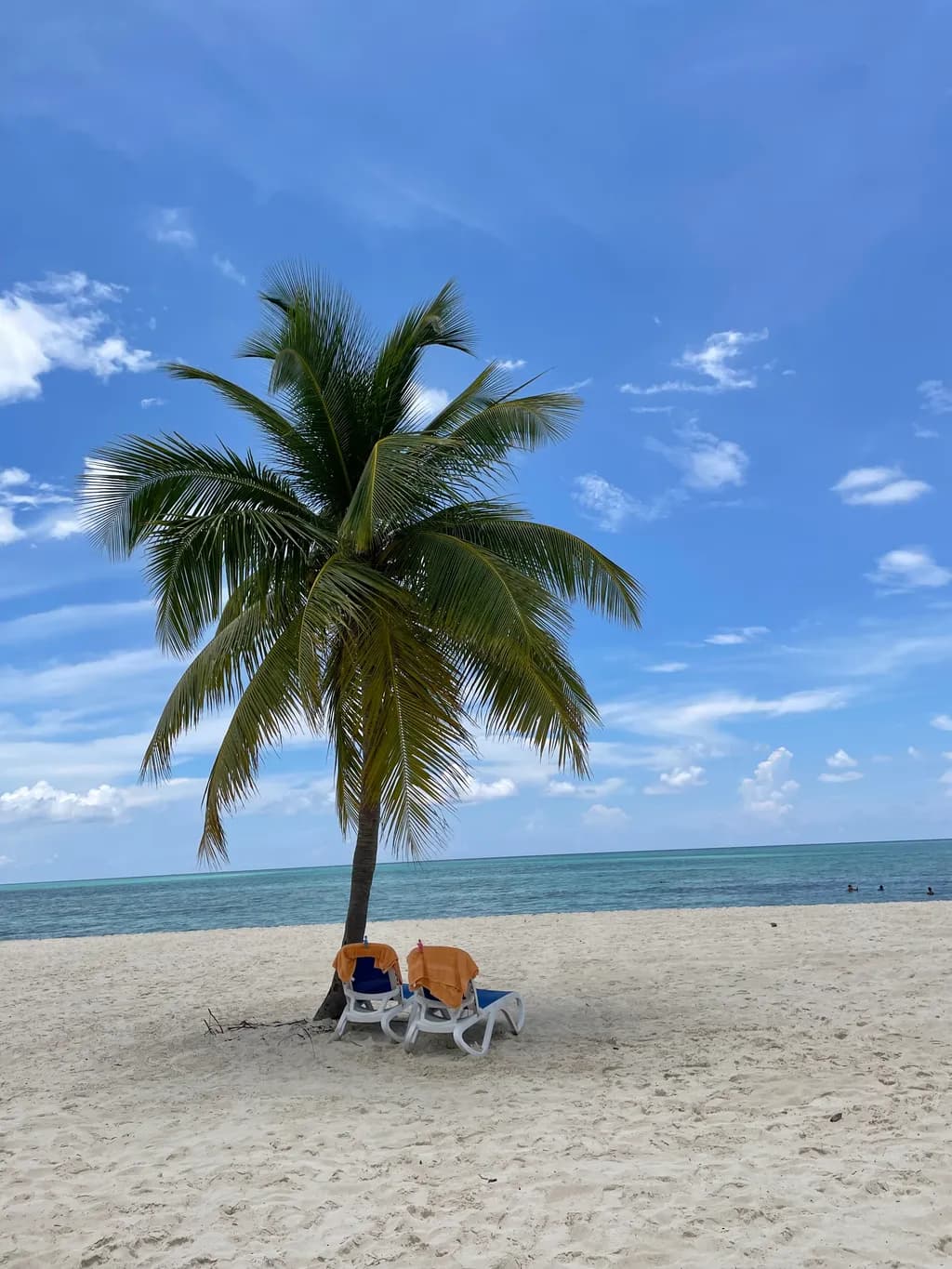 Seaside Solitude